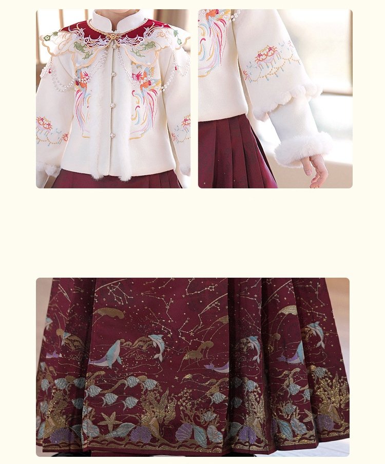 Chinese New Year Dress Ancient Costume Hanfu Dress