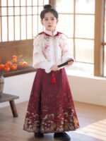 Chinese New Year Dress Ancient Costume Hanfu Dress - Image 2