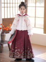 Chinese New Year Dress Ancient Costume Hanfu Dress - Image 4