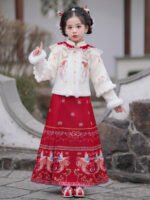 Chinese New Year Dresses Winter Thickened Hanfu - Image 3