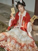 Chinese New Year Outfit Embroidery Ming Dynasty Hanfu