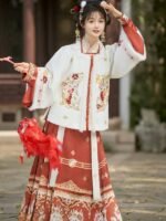 Chinese New Year Outfit Embroidery Ming Dynasty Hanfu - Image 3