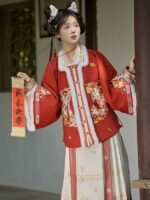 Chinese New Year Outfit Embroidery Ming Dynasty Hanfu - Image 4