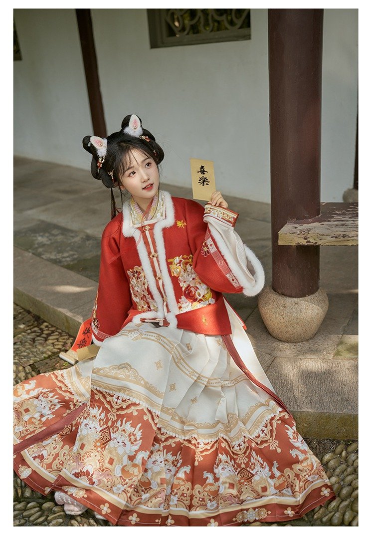 Chinese New Year Outfit Embroidery Ming Dynasty Hanfu