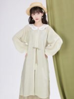 Chinese Style Clothes Ming Dynasty Modern Hanfu Dress