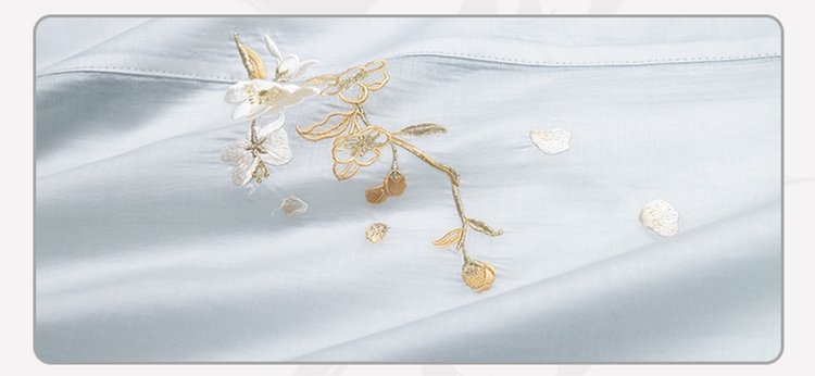 Chinese Style Hanfu Dresses Embroidery Fashion Hanfu