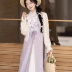 Chinese Style Outerwear Ming Style Fashion Hanfu