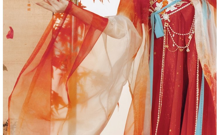 Chinese Tang Dynasty Hanfu Dress Female