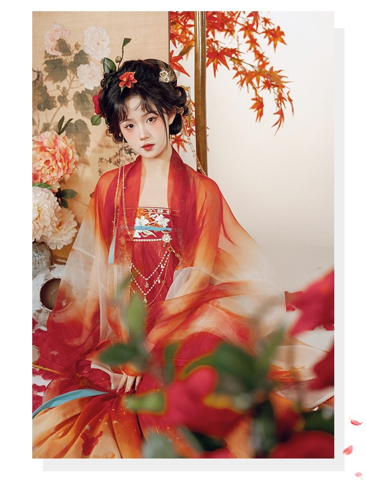 Chinese Tang Dynasty Hanfu Dress Female