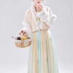 Chinese Tang Dynasty Winter Hanfu Dress Female