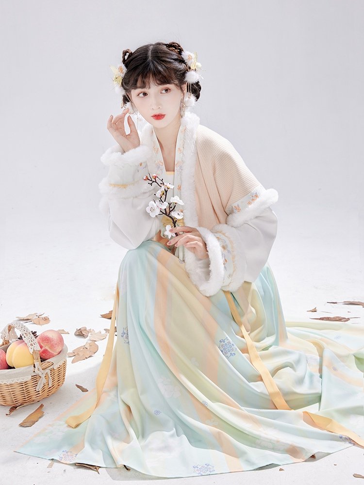 Chinese Tang Dynasty Winter Hanfu Dress Female