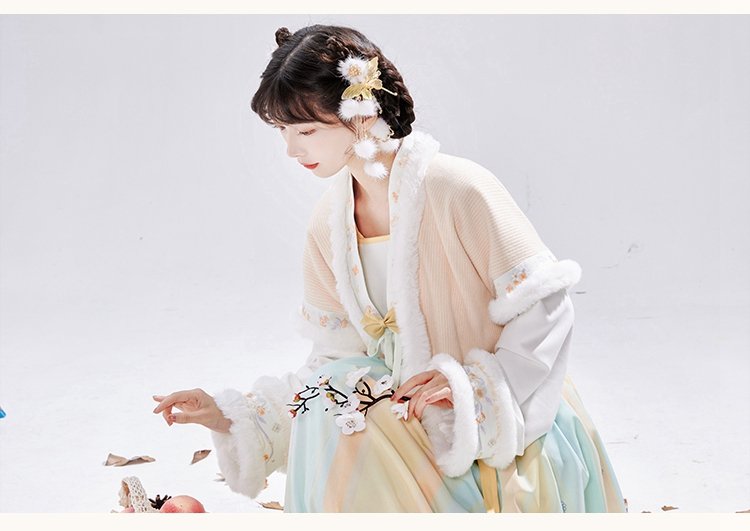 Chinese Tang Dynasty Winter Hanfu Dress Female