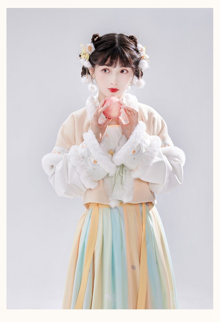 Chinese Tang Dynasty Winter Hanfu Dress Female