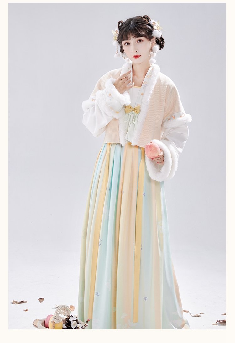 Chinese Tang Dynasty Winter Hanfu Dress Female