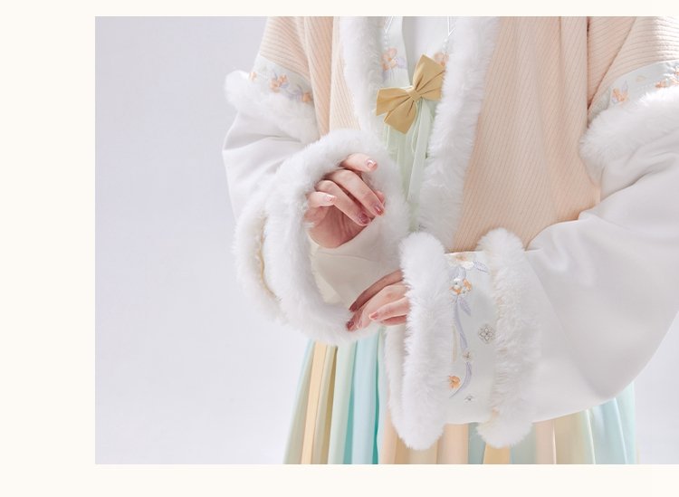 Chinese Tang Dynasty Winter Hanfu Dress Female