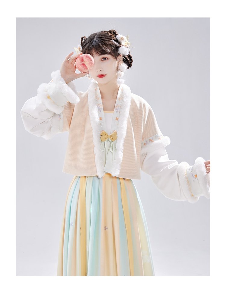 Chinese Tang Dynasty Winter Hanfu Dress Female