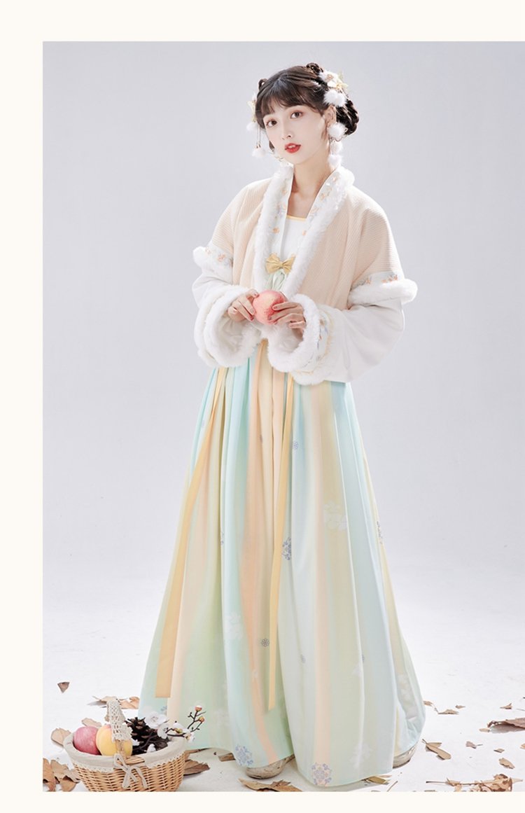 Chinese Tang Dynasty Winter Hanfu Dress Female