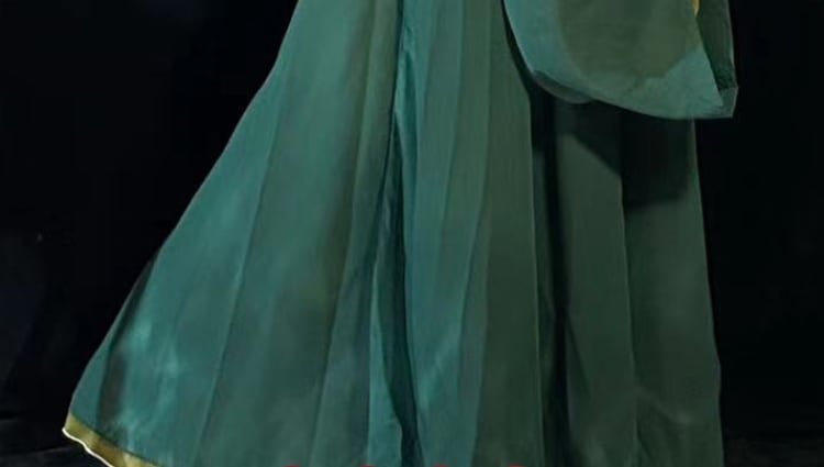Chinese Traditional Clothes Wei Jin Style Hanfu Female