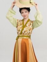 Chinese Traditional Clothing Tang Dynasty Hanfu
