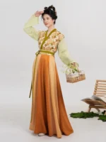 Chinese Traditional Clothing Tang Dynasty Hanfu - Image 2