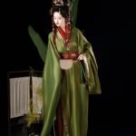 Chinese Traditional Costume Warring States Hanfu Robe
