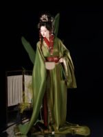 Chinese Traditional Costume Warring States Hanfu Robe