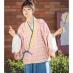 Chinese Traditional Women’s Dress Jin Style Hanfu