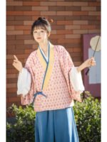 Chinese Traditional Women’s Dress Jin Style Hanfu