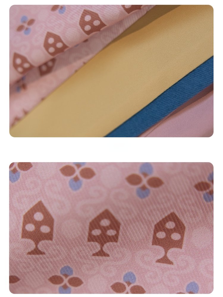 Chinese Traditional Women's Dress Jin Style Hanfu