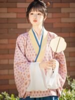 Chinese Traditional Women’s Dress Jin Style Hanfu - Image 4