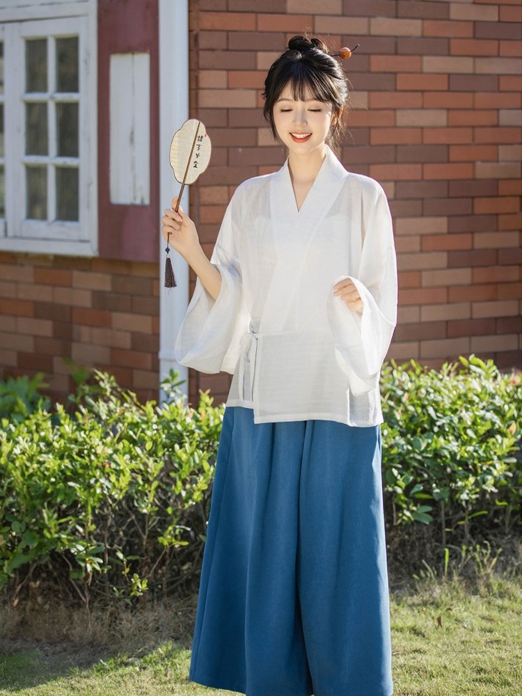 Chinese Traditional Women's Dress Jin Style Hanfu