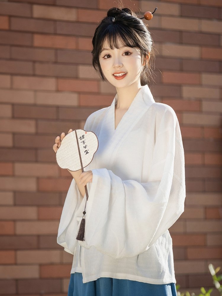 Chinese Traditional Women's Dress Jin Style Hanfu