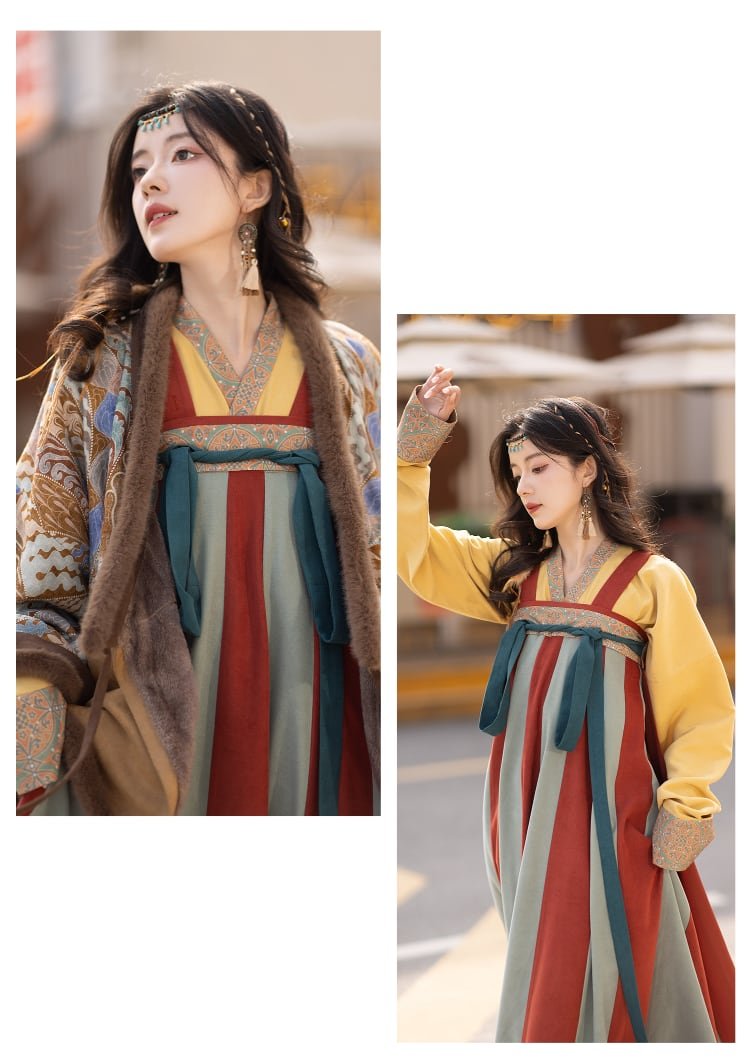 Chinese Winter Hanfu Tang Dynasty Dress Female