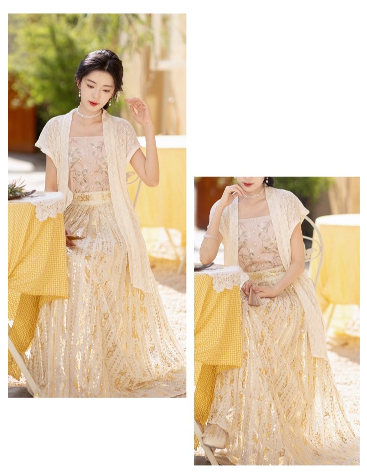 Elegant Chiffon Dress Embroidered Hanfu