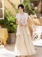 Elegant Chiffon Dress Embroidered Hanfu - Image 3