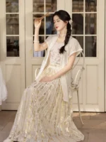 Elegant Chiffon Dress Embroidered Hanfu
