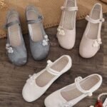 Embroidered Floral Vintage Cloth Shoes