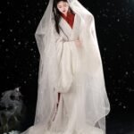 Fairy Hanfu White Chinese Warring States Robes