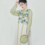 Fancy Dress For Women Tang Dynasty Hanfu Women