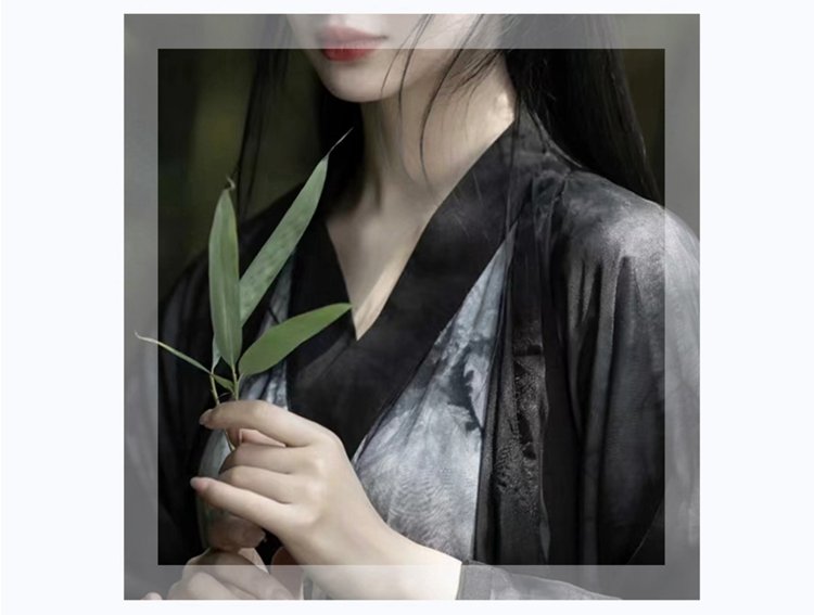 Female Chinese Traditional Dress Ancient Black Hanfu