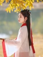 Girl’s Fairy Hanfu Costume Stage Cospay - Image 6