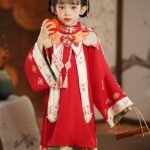 Girls Fall Dresses Chinese Ming Dyansty Style Hanfu