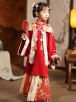 Girls Fall Dresses Chinese Ming Dyansty Style Hanfu - Image 4