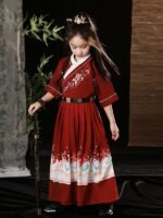 Girls Hanfu Chinese Ancient Clothing Flying Fish Fu - Image 5