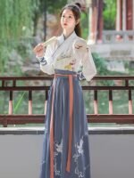 Hanfu Clothing Cosplay Chinese Ancient Costume Unisex - Image 2