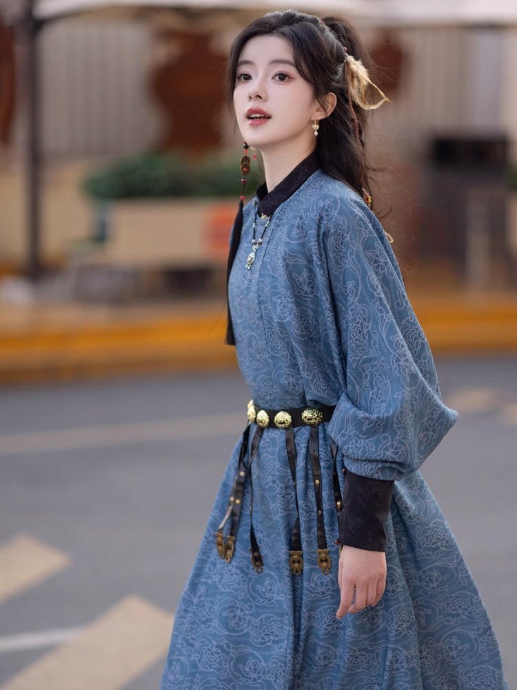 Hanfu Tang Dynasty Costume Hanfu with Robe and Trousers