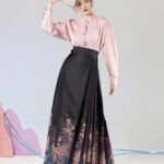 Hanfu Top and Ming Style Ma Mian Skirt Set