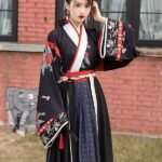 Chinese Traditional Clothing Jin Dynasty Hanfu 2 Colors