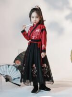 Kids Dress Chinese Traditional Hanfu For Girls - Image 5