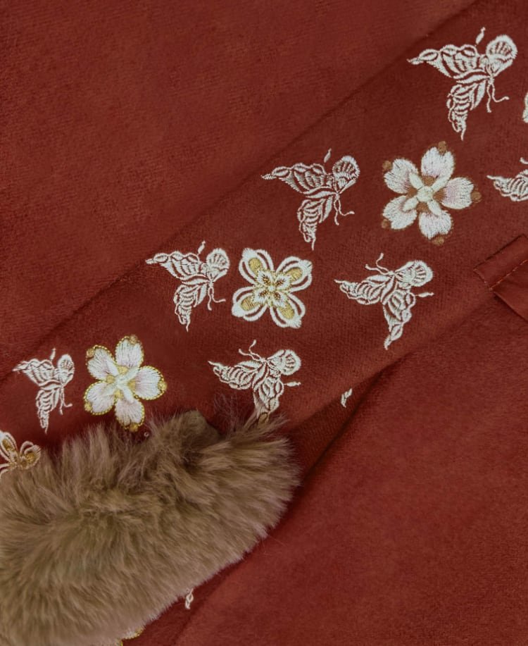 Lunar New Year Dress Ming Style Hanfu Winter